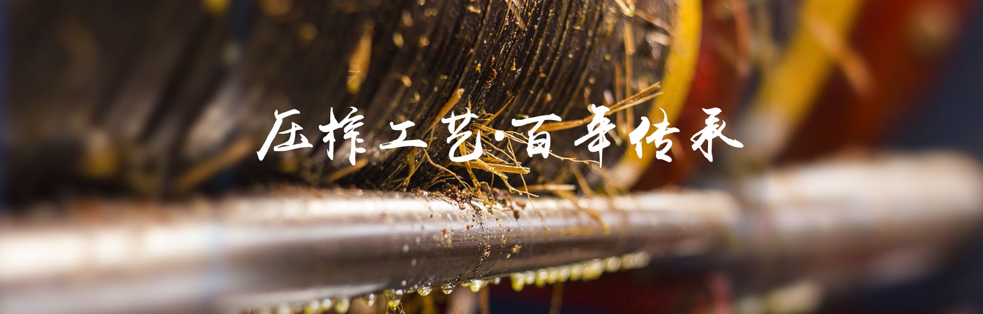 银河集团198net_油茶莳植生产加工销售|植物油莳植生产加工销售