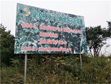 银河集团198net,油茶莳植生产加工销售,植物油莳植生产加工销售