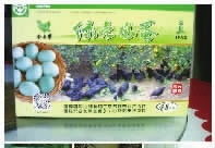 银河集团198net,油茶莳植生产加工销售,植物油莳植生产加工销售