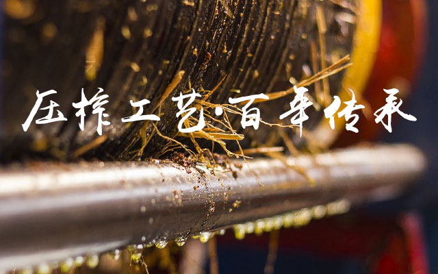 银河集团198net_油茶莳植生产加工销售|植物油莳植生产加工销售